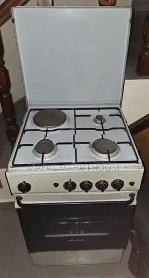 Electric Oven with Gas Cooker