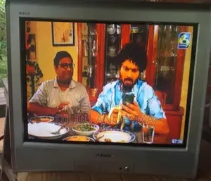 Sony 21 inch Colour Tv