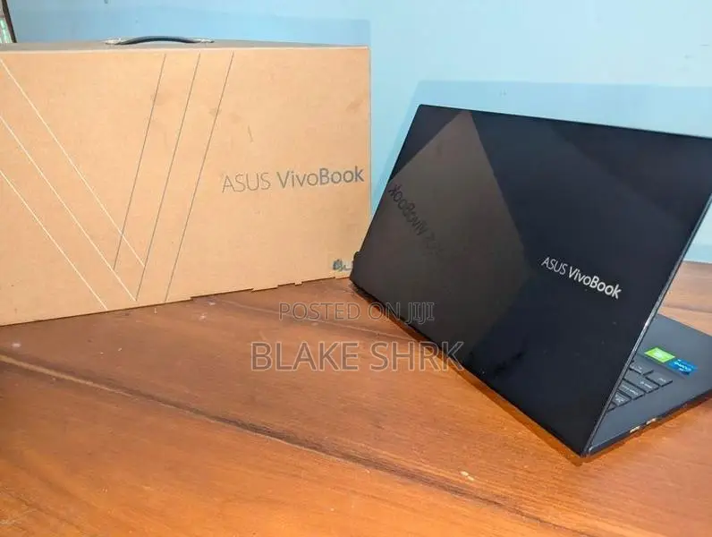 Asus Vivobook x513EP
