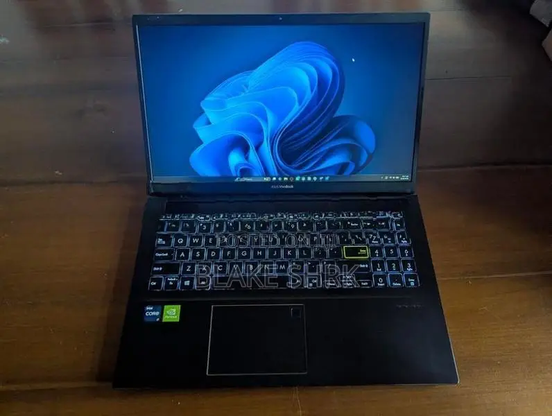 Asus Vivobook x513EP