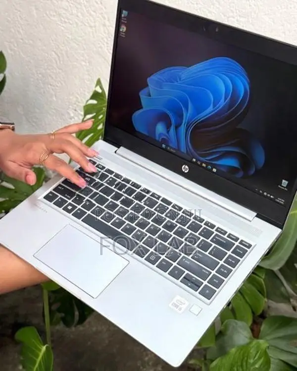 Hp Probook 440 G7 I5 10th Gen
