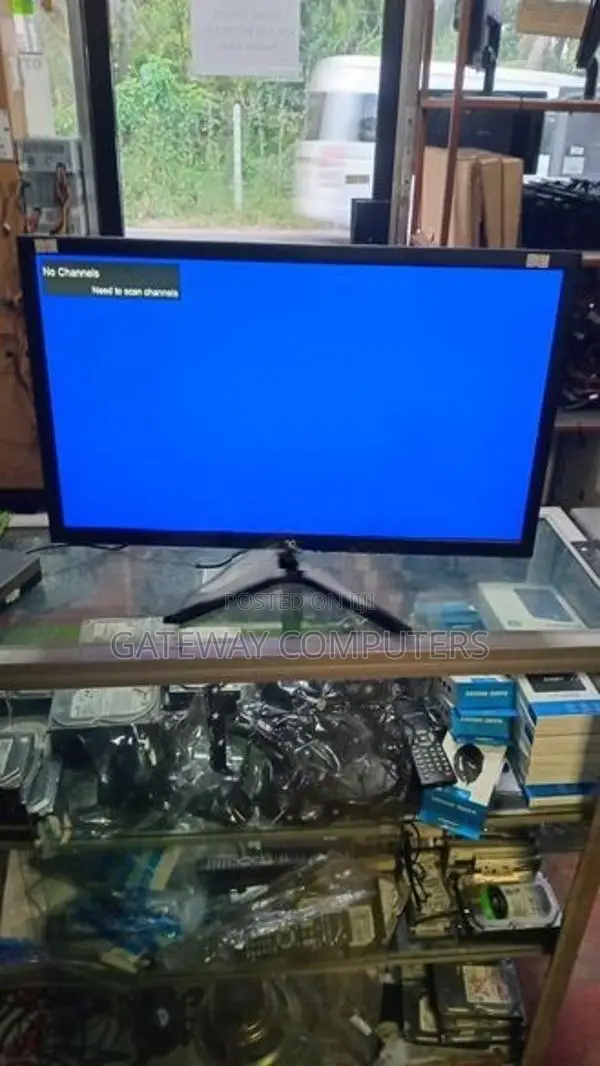 Skyview 24 inch LED TV