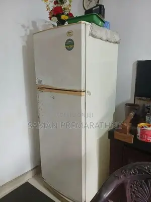 LG Double Door Fridge