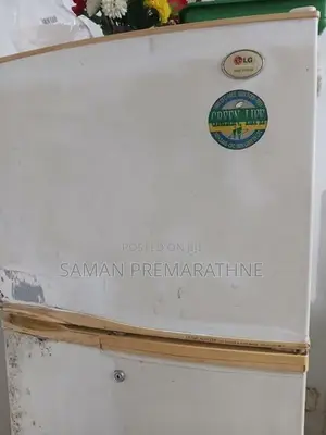 LG Double Door Fridge
