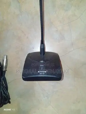 audio mic