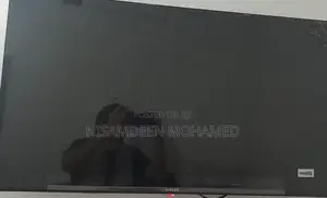 TV singer
