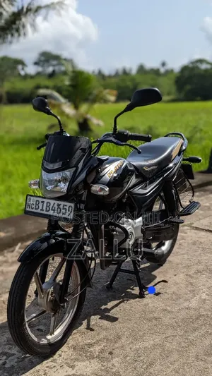 New Bajaj Platina 100 2019 Gray