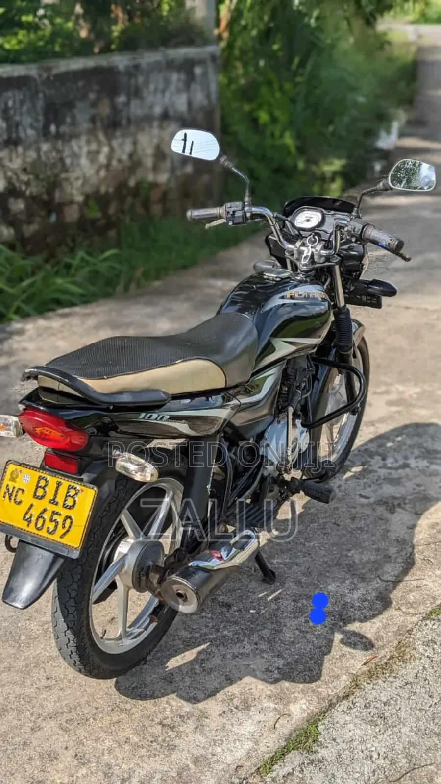 New Bajaj Platina 100 2019 Gray
