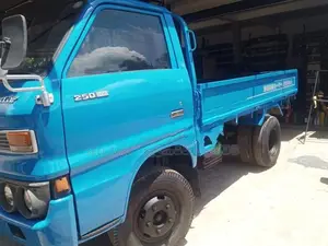 Isuzu Elf 250 Lorry 1980