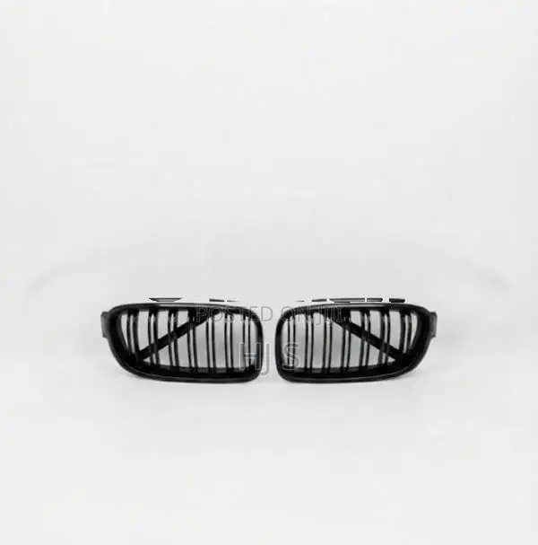BMW F30 Front Grill