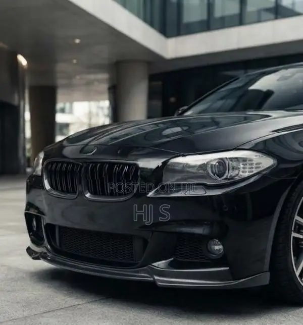 BMW F10 Front Grill