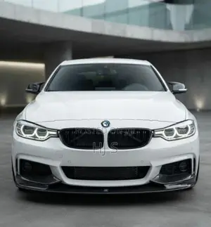 BMW F30 Front Grill
