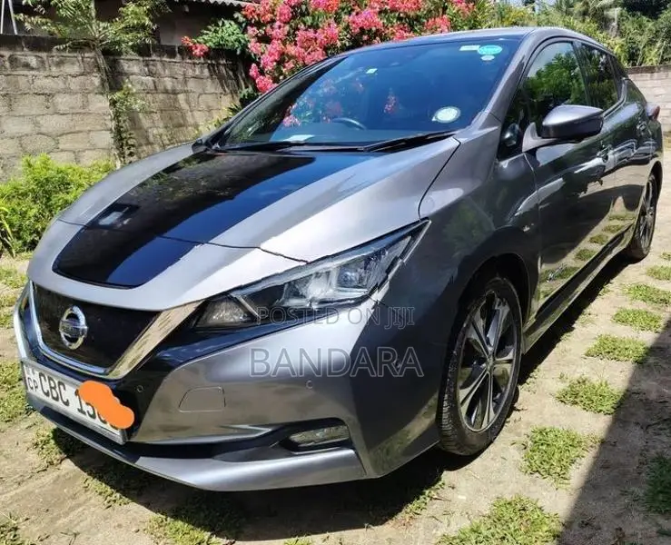 Nissan Leaf 2018