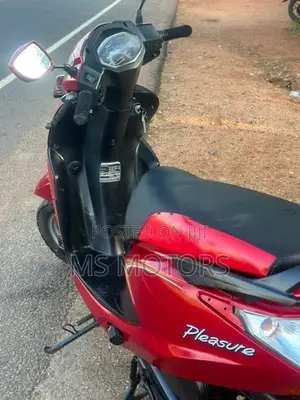 Hero Pleasure 2015
