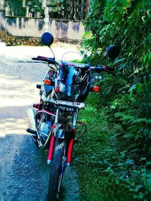 Bajaj CT100 2016
