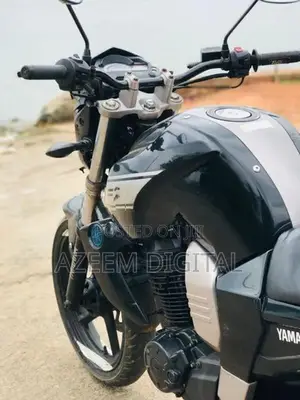 Yamaha FZ 2009