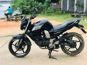 Yamaha FZ 2009