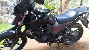 Yamaha FZS V1 2014