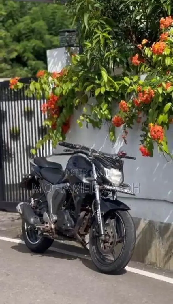 Yamaha FZ S 2016