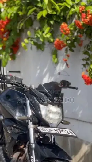 Yamaha FZ S 2016