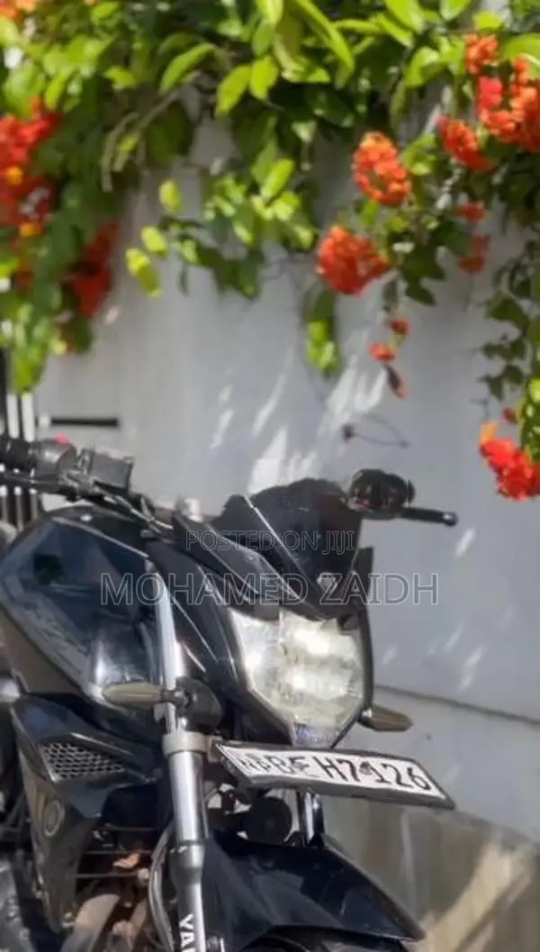 Yamaha FZ S 2016