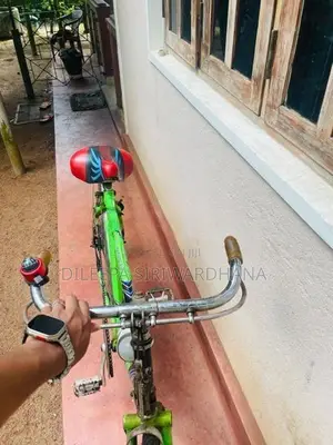 Lumala Green Bicycle
