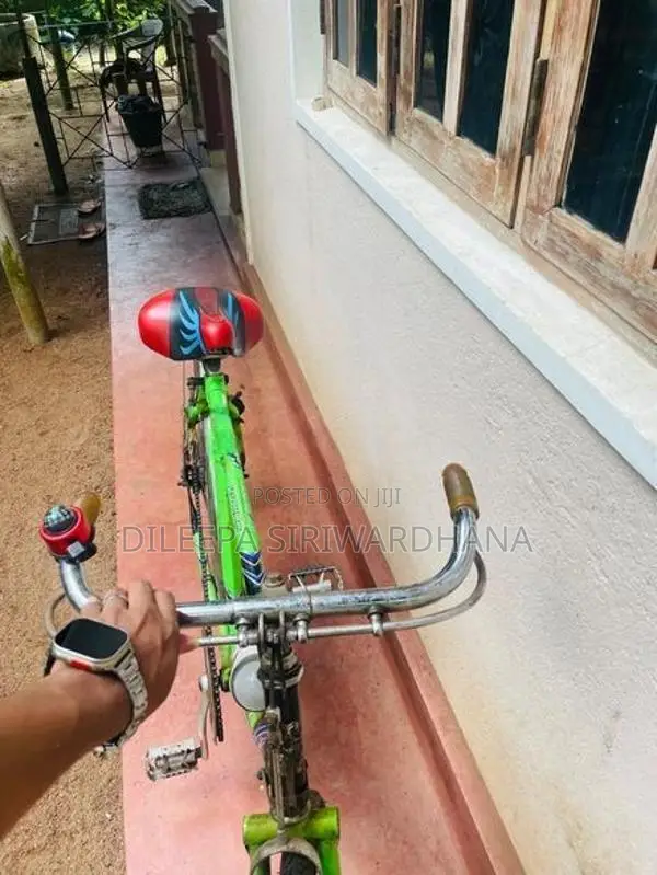 Lumala Green Bicycle