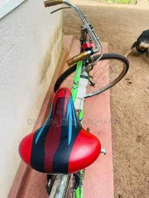 Lumala Green Bicycle