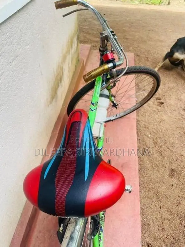 Lumala Green Bicycle