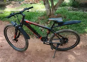 Everstar Bike
