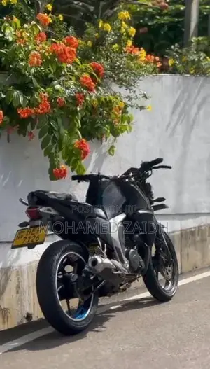 Yamaha FZ S 2016