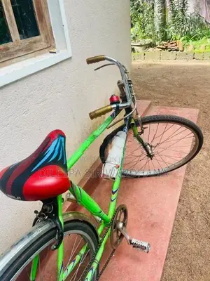 Lumala Green Bicycle