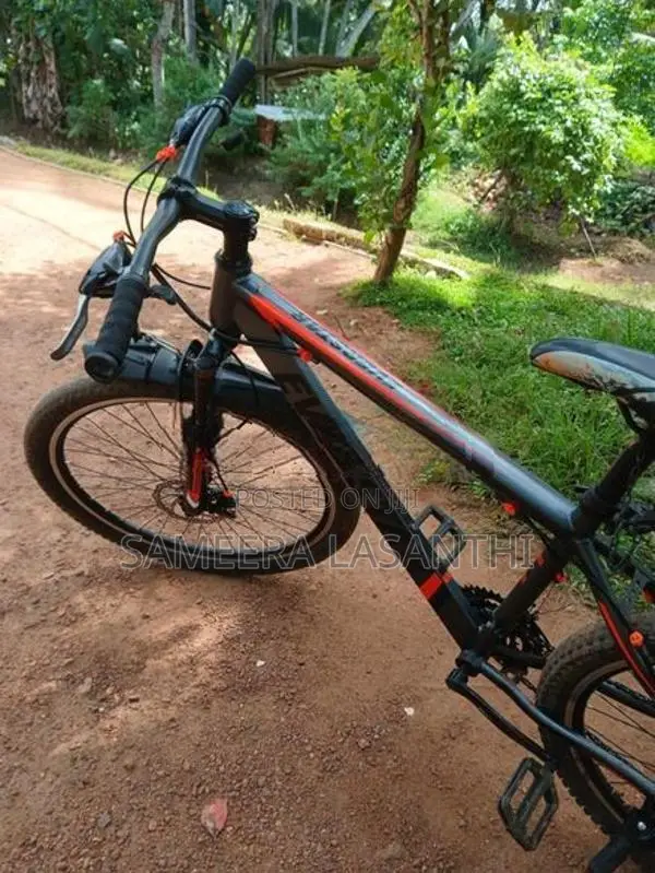 Everstar Bike