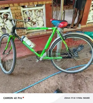 Lumala Green Bicycle