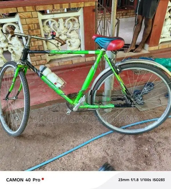 Lumala Green Bicycle