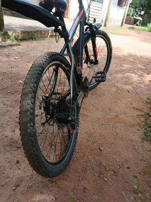 Everstar Bike