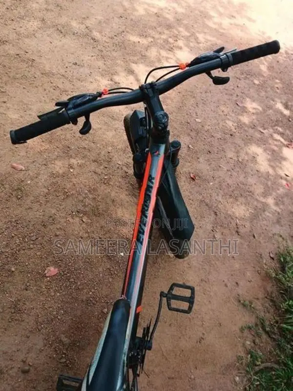 Everstar Bike