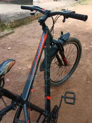 Everstar Bike