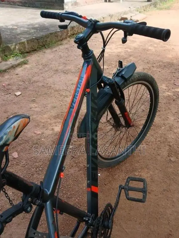 Everstar Bike