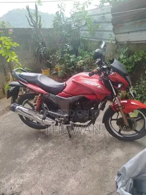 Hero Hunk 160R 2006