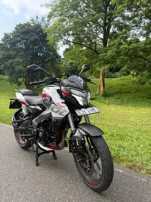Bajaj Pulsar NS200 2025