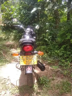 Bajaj Platina 100 2015
