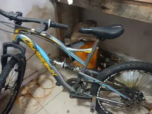 Tomahawk bicycle