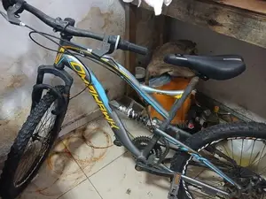 Tomahawk bicycle