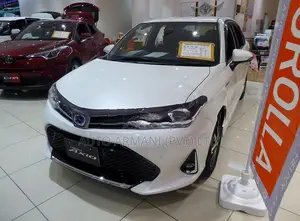 Toyota Axio 165 Side Mirror