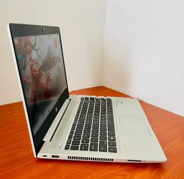 HP ProBook 440 G6 Core i5 8265U–8th GEN 16GB RAM 256GB SSD
