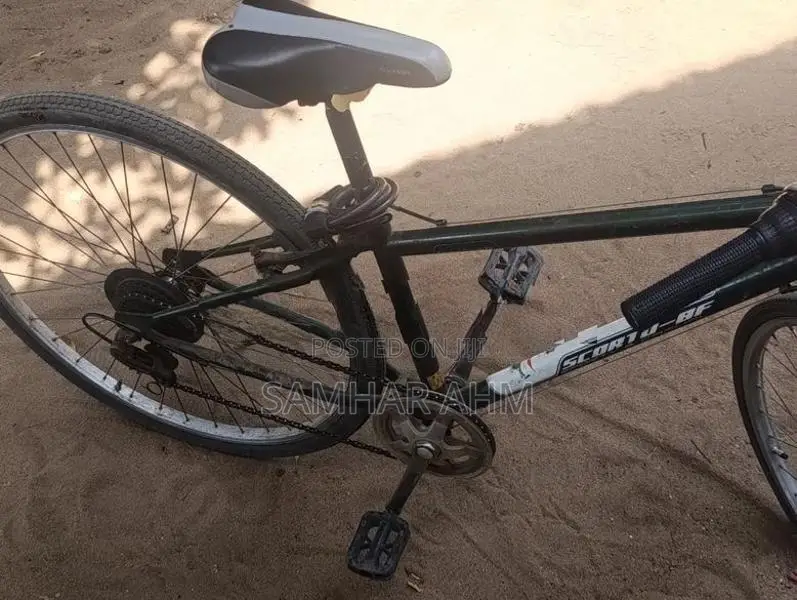 Gear Bicycle