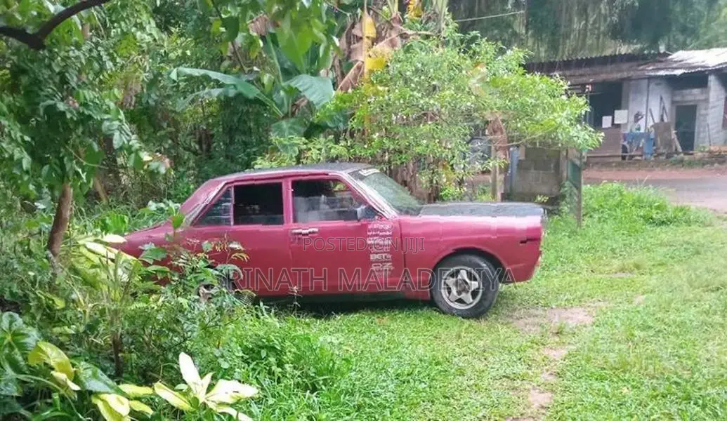 Nissan Sunny B310 1979