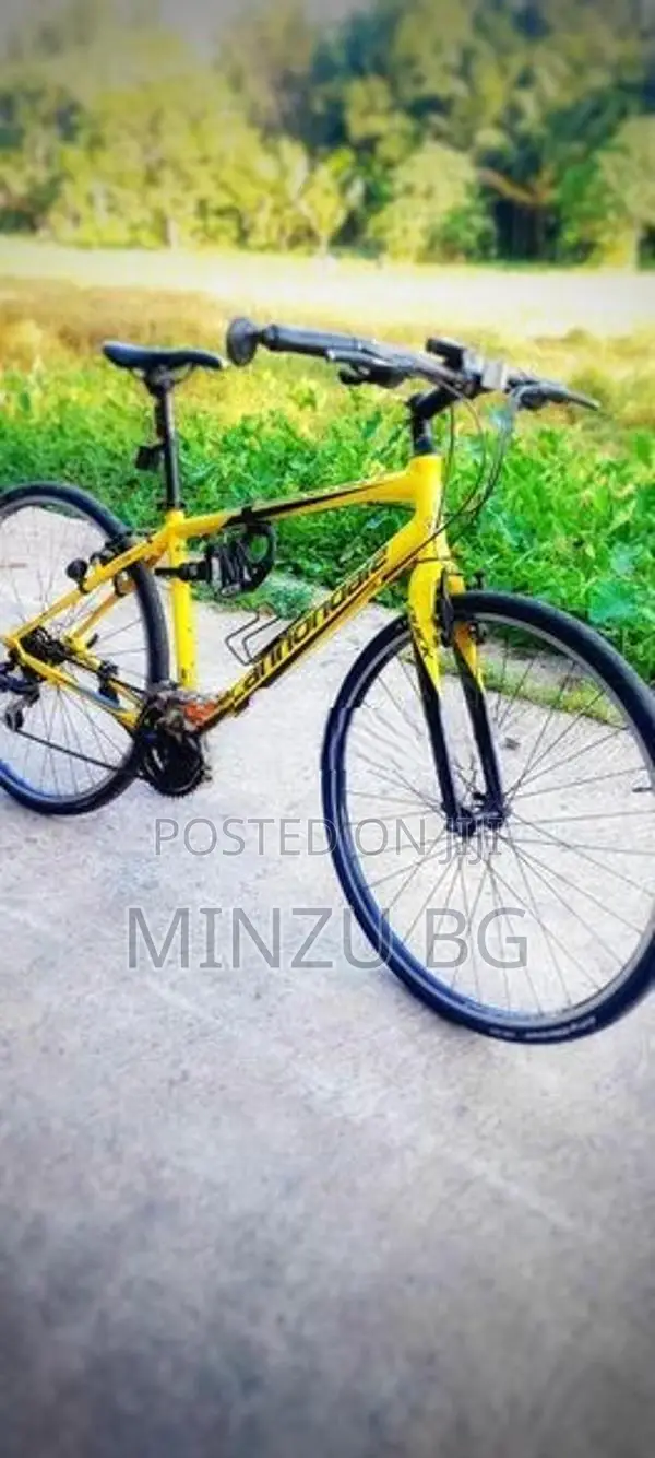 Cannondale Bicycle