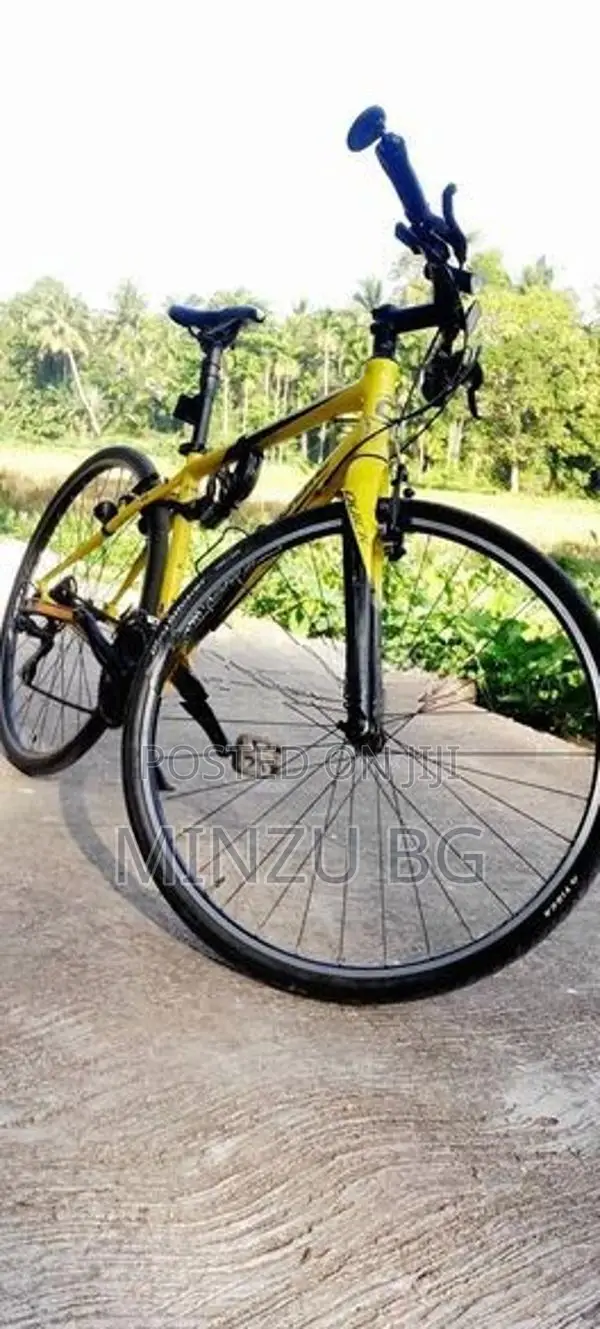 Cannondale Bicycle
